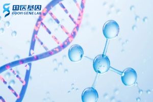 天津正规16家怀孕亲子鉴定中心地址大全（2024年汇总）