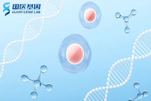 商丘地区21家亲子鉴定机构名单/2025年汇总