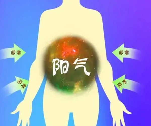阳气不足易生病，四种伤阳需谨防，肾合胶囊助阳强！
