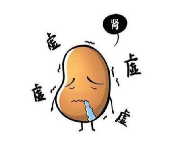 盲目补肾不可取，科学养肾是正道！肾合胶囊助男性重振雄风