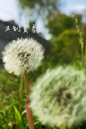 北京治痔疮哪家医院靠谱？夏季容易患上痔疮，做好4点能缓解疼痛！