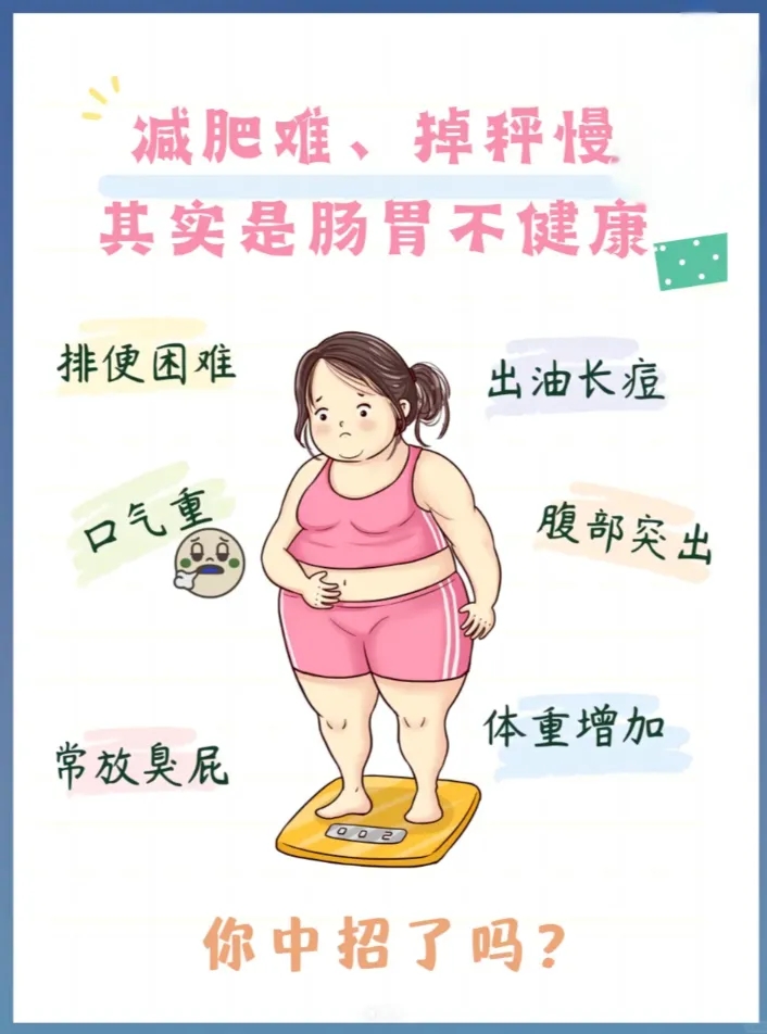 减肥难掉秤慢?可能是因为肠胃出了问题!