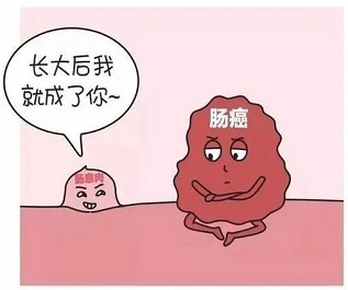 北京2025年腸癌早篩冬季 腸息肉和腸癌有什么不同？
