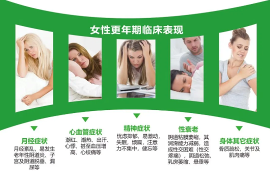 更年期藥物有哪些