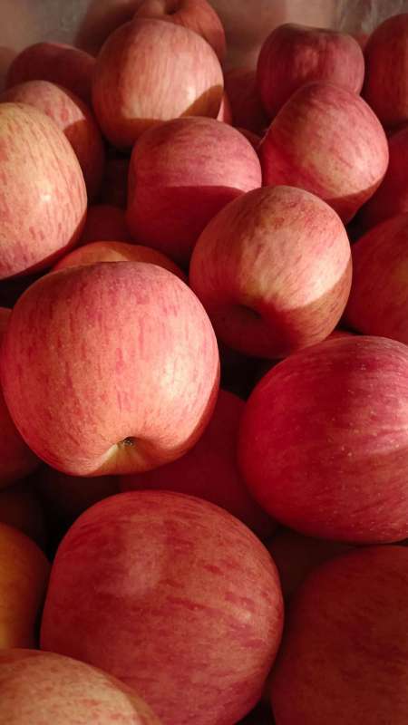 治便秘北京哪家醫(yī)院好？吃蘋果對(duì)改善便秘有用嗎？