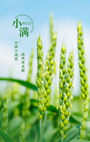 北京豐益中醫(yī)脾胃 小滿已過，中醫(yī)支招健脾祛濕護脾胃：
